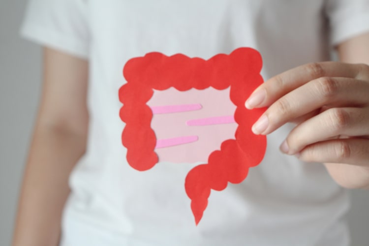 Bowel Cancer Screening Test